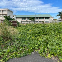 鳥栖市原古賀町 売地 27坪